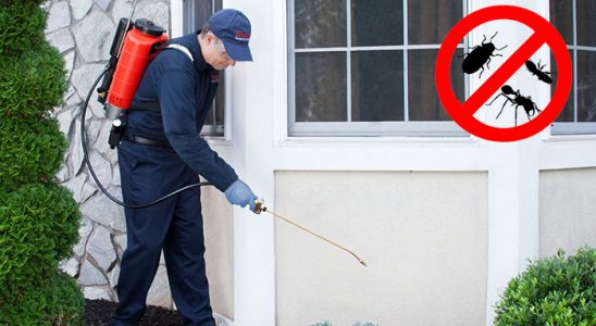 Adaklı Bit İlaçlama böcek ilaçlama ve haşere kontrolü — ilaclama-tr.com